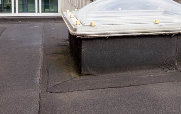 disadvantages of Woolfords Water flat roofs
