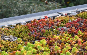 the cost of Woolfords Water green roof installation