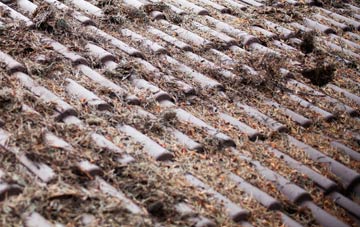 Woolfords Water roof cleaning companies