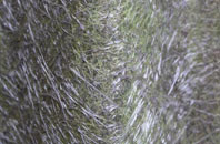 Woolfords Water fibreglass roof work